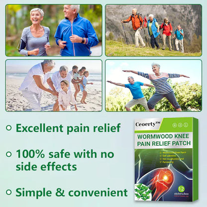 Natural Knee Pain Relief Patches - Buy 10 Get 10 Free